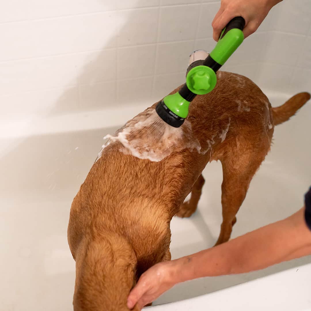 Dog Jet Pro | Eenvoudig en Efficiënt Je Hond Baden!