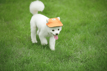 ShadePaw™ - Houd je huisdier koel deze zomer!